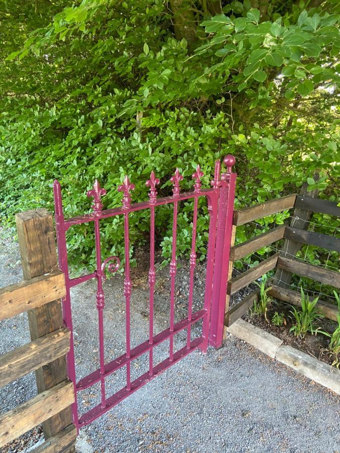 Harrys Place Mullingar Eksteriør bilde