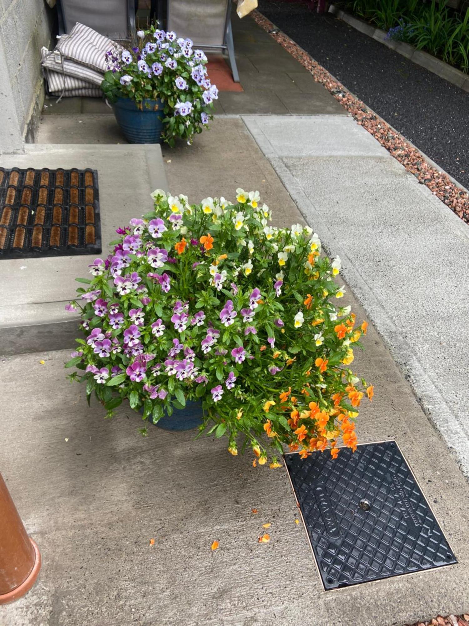 Harrys Place Mullingar Eksteriør bilde